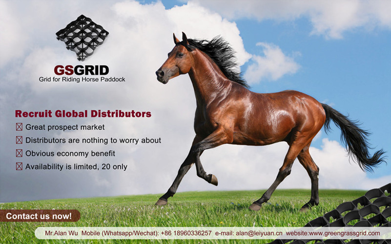 Recruit Global Distributors of Horse Paddock Grid