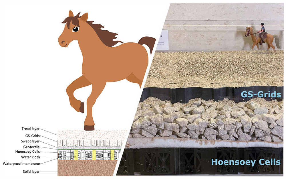 Equestrian Arena Drainage Mastery: GS-Grids and Hoensoey Cells Solution