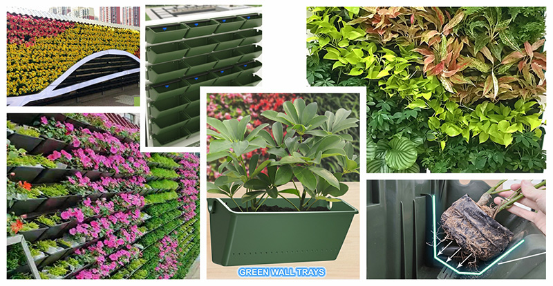 Transforming Urban Spaces with 3318 Green Wall Trays: An Environmentalist's View