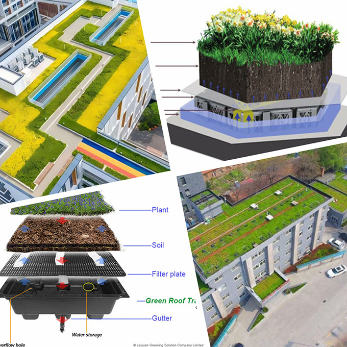 Promoting Sustainability with Green Roof Systems: Eco-Friendly Layered and Tray Solutions