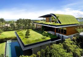 Quels sont les avantages écologiques de la construction d’un toit vert ?
