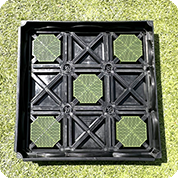 HT-508 Green Roof Module: The Smart Choice for Cost-Effective Green Roofing