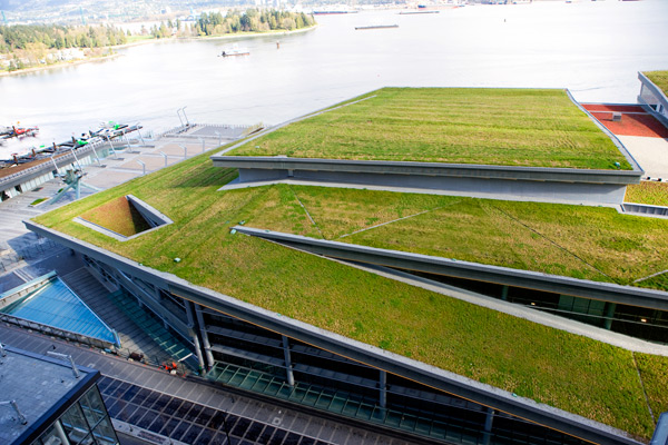 Système de toiture écologique deviendra la tendance d'écologisation environnementale ?